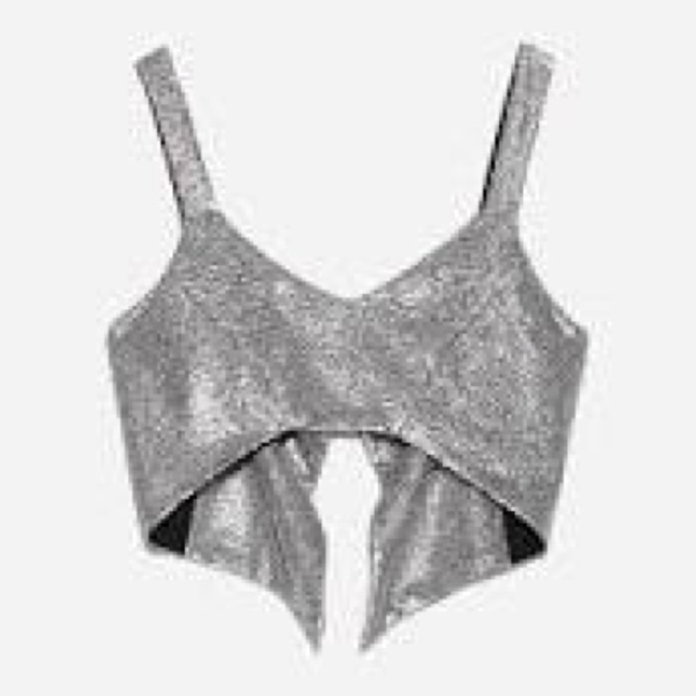 RARE zara sequin crop top
